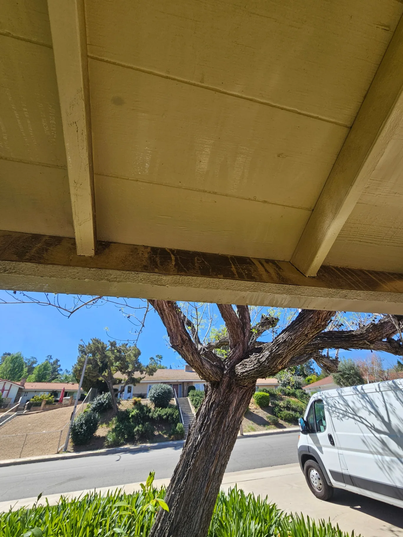Before photo of organic buildup and water staining on home eaves prior to soft washing