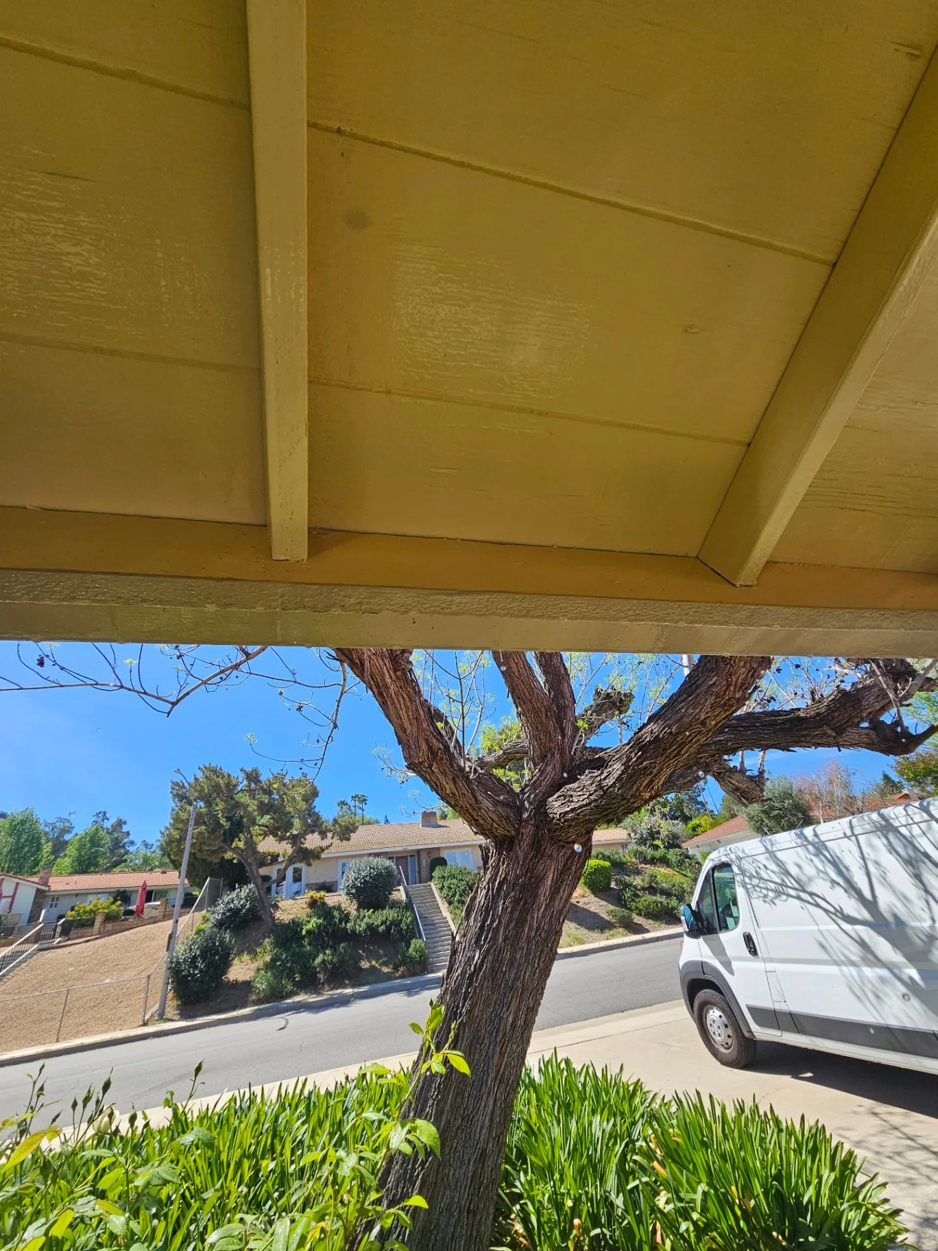 Clean home eaves after a Transparent Solutions soft washing service