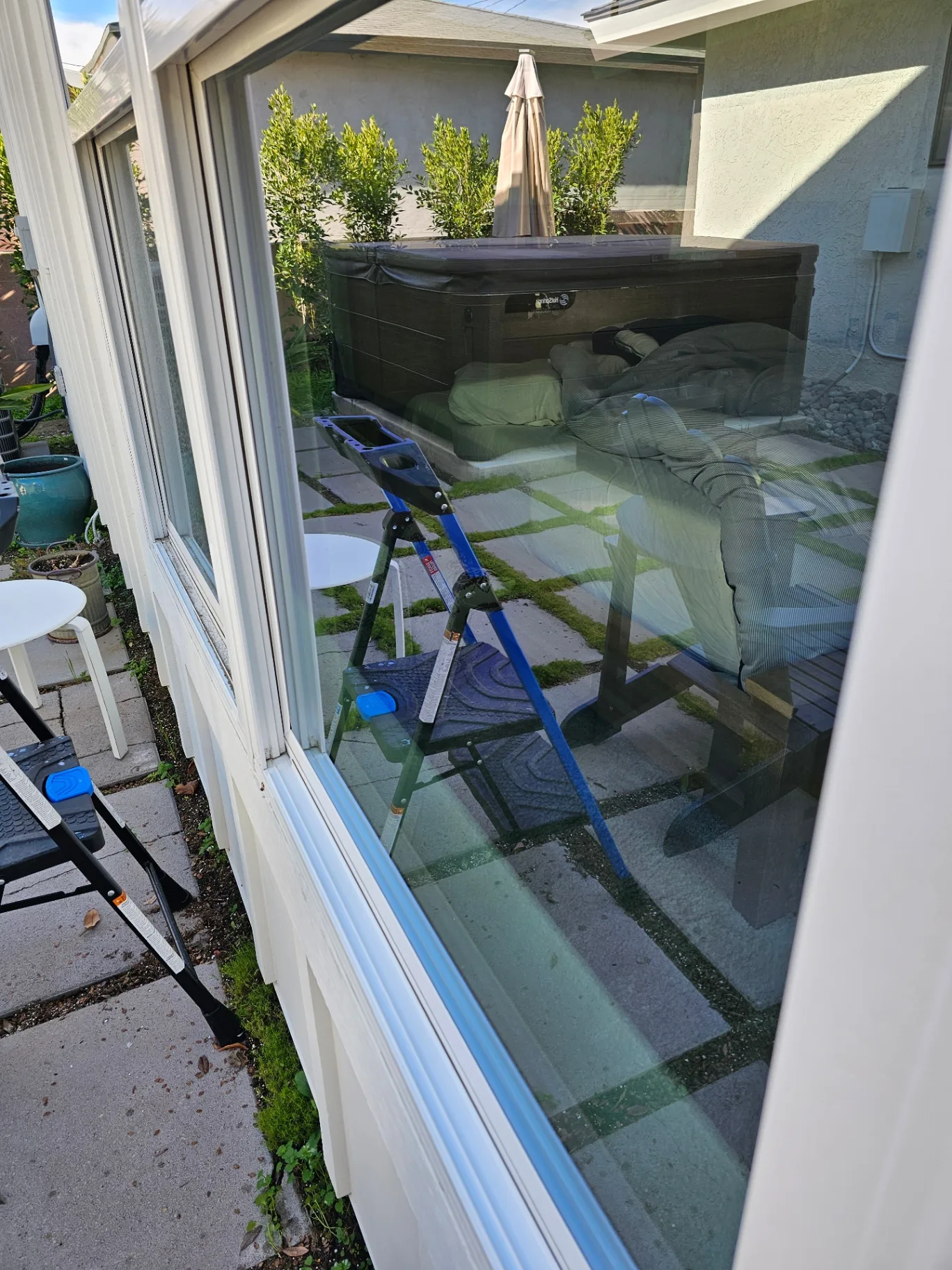 Clean exterior window with a clear view of the backyard after Transparent Solutions service