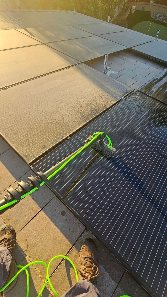 Solar Panel Bird Proofing by Transparent Solutions